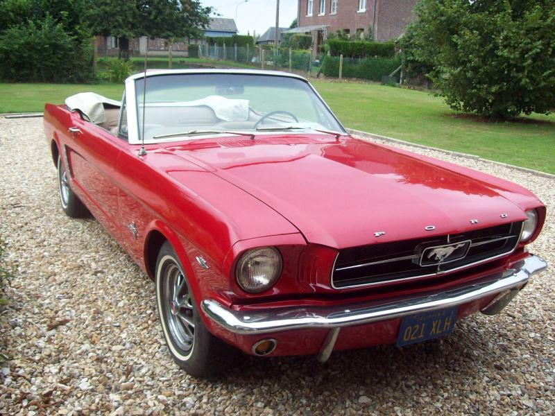 100_1303 1600x1200.JPG